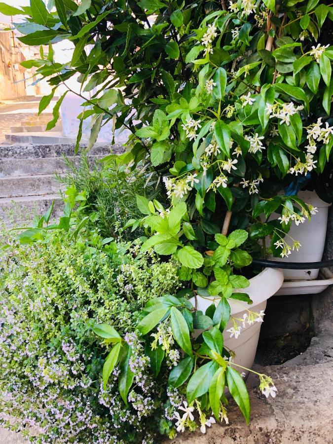A Casa Da Anita Villa Palazzolo Acreide Bagian luar foto