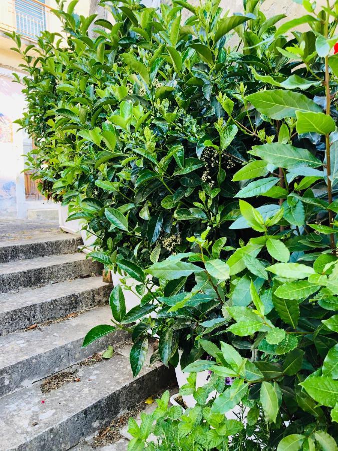 A Casa Da Anita Villa Palazzolo Acreide Bagian luar foto